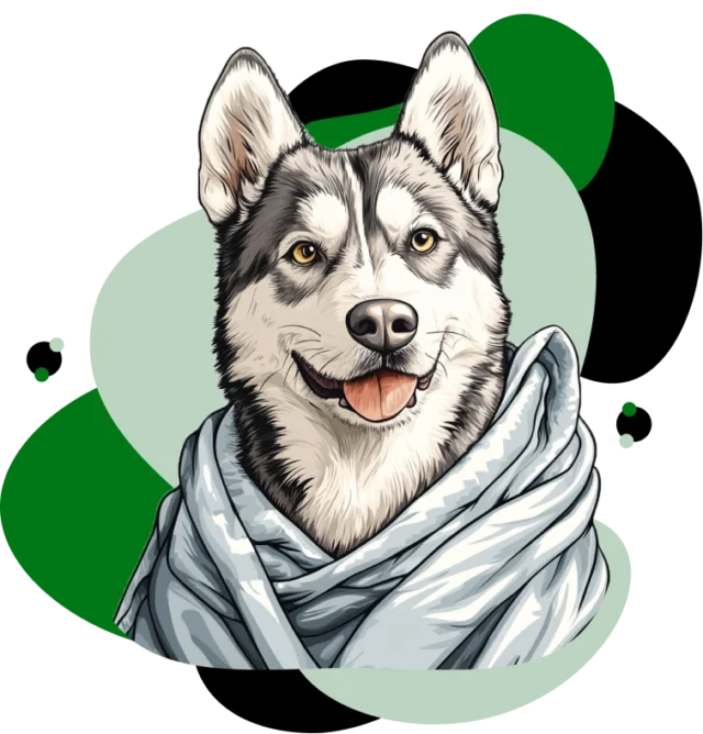 Husky dog wrapped in a soft blanket, smiling, representing gentle and fear-free grooming services at Seattle Canine Club.
