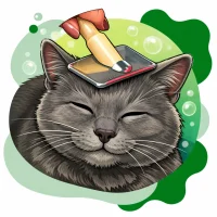 Seattle Canine Club - Cat Grooming Services